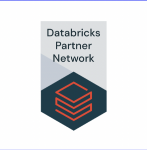 Databricks Partner